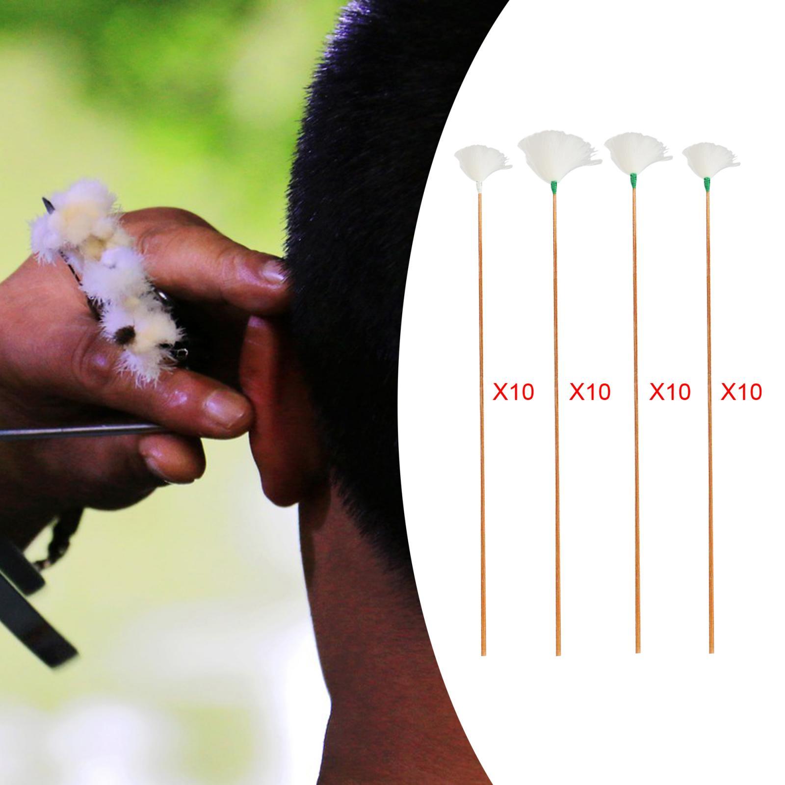 Kit de limpieza de oídos con l - Ear Wax Remover reseña y precio